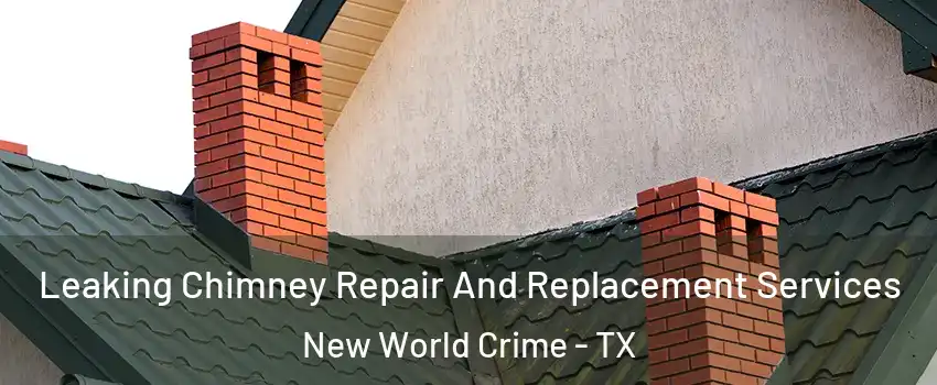 Leaking Chimney Repair And Replacement Services New World Crime - TX