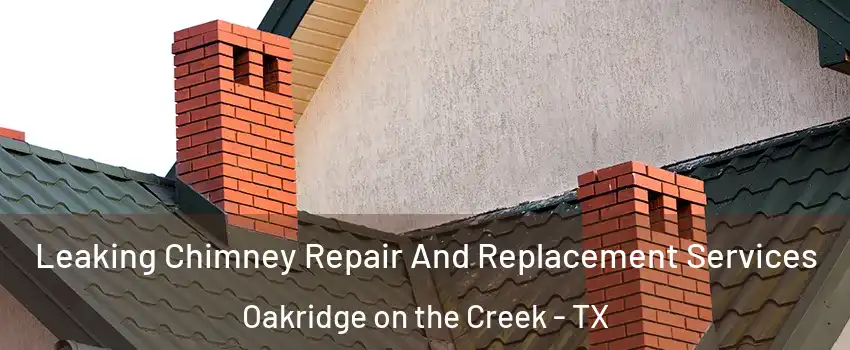 Leaking Chimney Repair And Replacement Services Oakridge on the Creek - TX