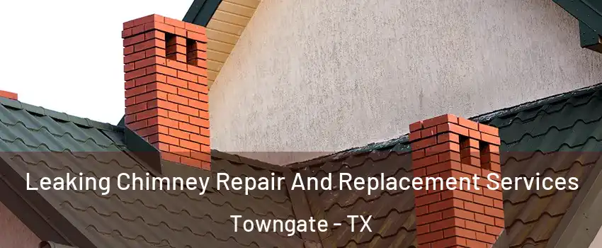 Leaking Chimney Repair And Replacement Services Towngate - TX