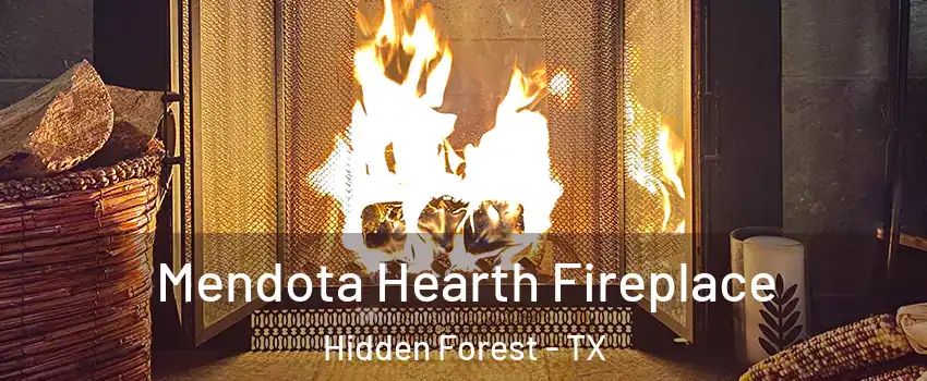 Mendota Hearth Fireplace Hidden Forest - TX