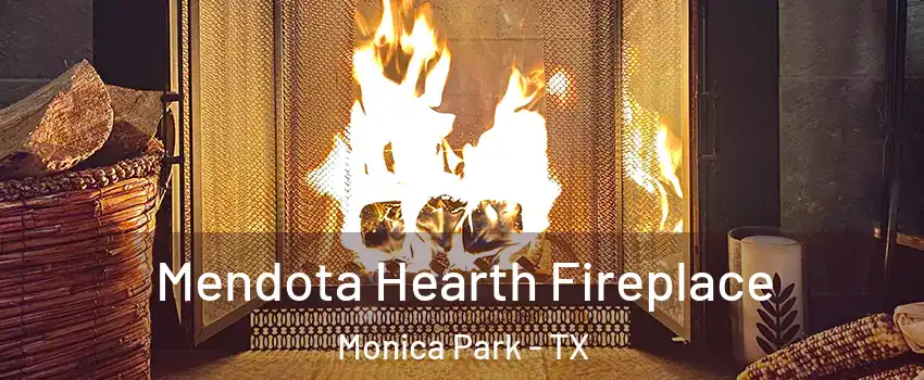 Mendota Hearth Fireplace Monica Park - TX