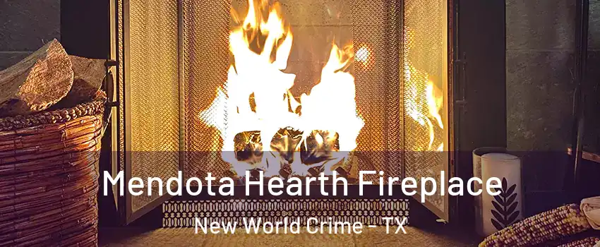 Mendota Hearth Fireplace New World Crime - TX