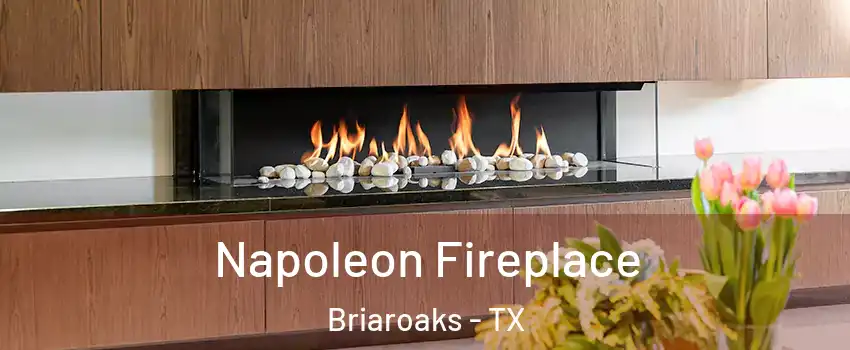 Napoleon Fireplace Briaroaks - TX