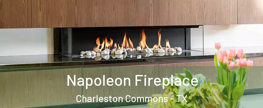 Napoleon Fireplace Charleston Commons - TX