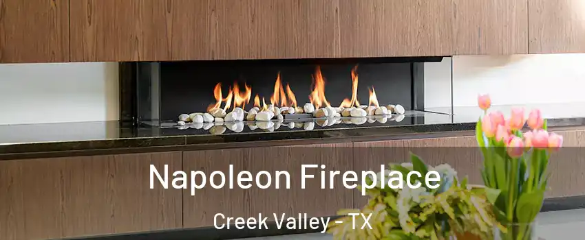 Napoleon Fireplace Creek Valley - TX