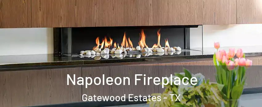 Napoleon Fireplace Gatewood Estates - TX