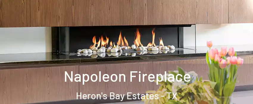 Napoleon Fireplace Heron's Bay Estates - TX