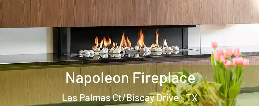 Napoleon Fireplace Las Palmas Ct/Biscay Drive - TX