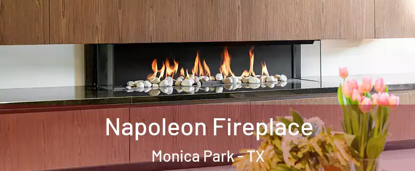 Napoleon Fireplace Monica Park - TX