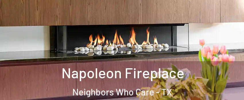 Napoleon Fireplace Neighbors Who Care - TX