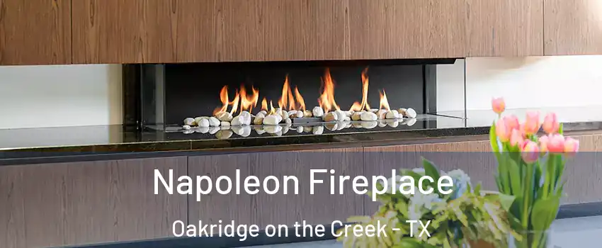 Napoleon Fireplace Oakridge on the Creek - TX