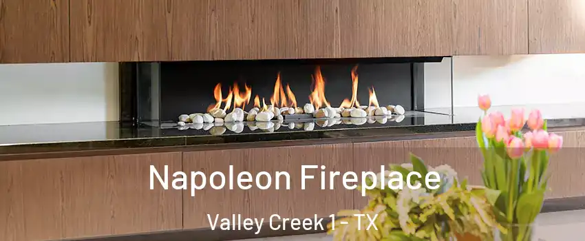 Napoleon Fireplace Valley Creek 1 - TX