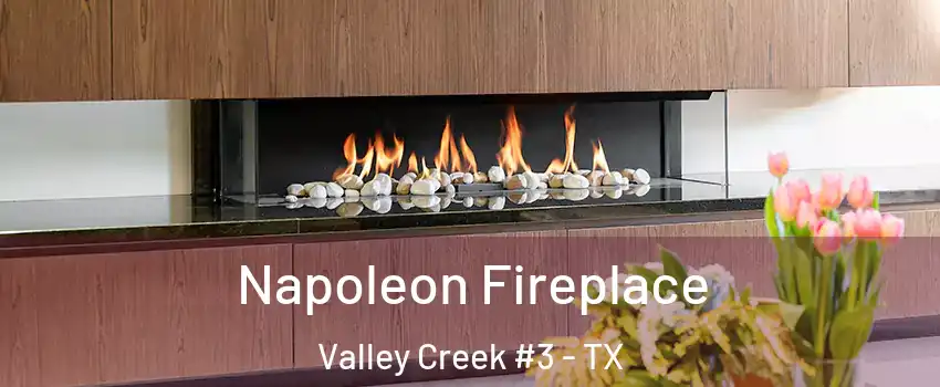 Napoleon Fireplace Valley Creek #3 - TX