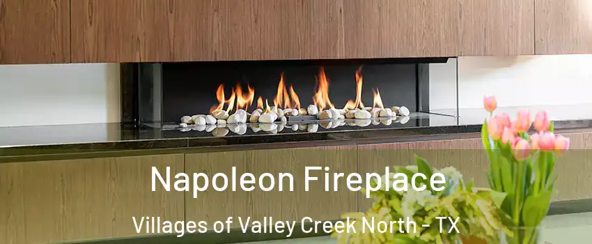 Napoleon Fireplace Villages of Valley Creek North - TX