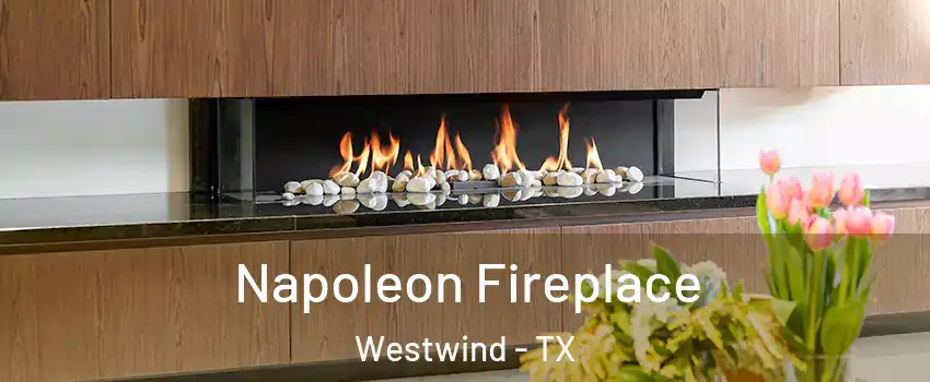 Napoleon Fireplace Westwind - TX