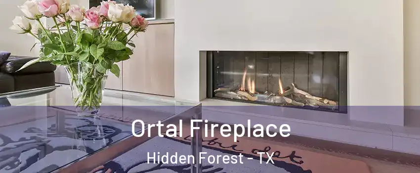 Ortal Fireplace Hidden Forest - TX