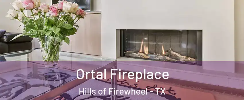 Ortal Fireplace Hills of Firewheel - TX