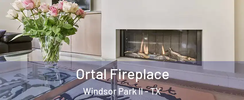 Ortal Fireplace Windsor Park II - TX