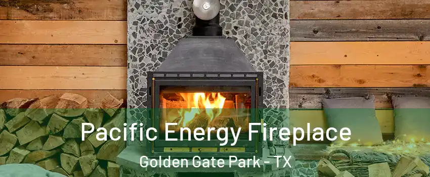 Pacific Energy Fireplace Golden Gate Park - TX