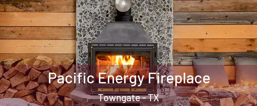 Pacific Energy Fireplace Towngate - TX