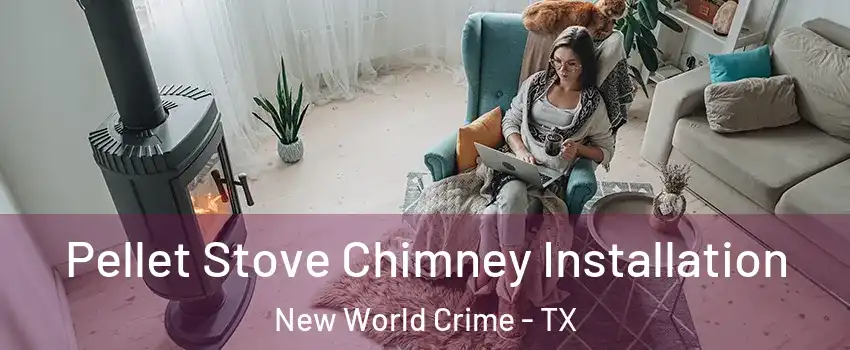 Pellet Stove Chimney Installation New World Crime - TX