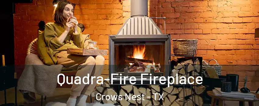 Quadra-Fire Fireplace Crows Nest - TX