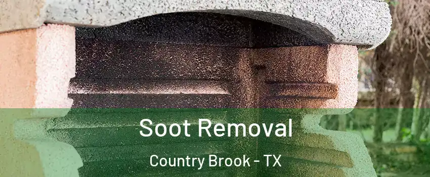 Soot Removal Country Brook - TX