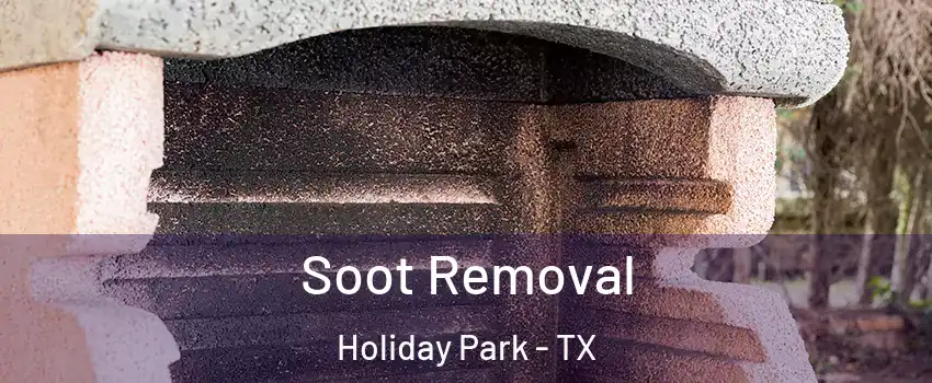 Soot Removal Holiday Park - TX