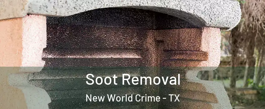 Soot Removal New World Crime - TX