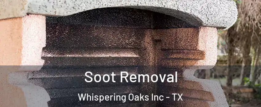 Soot Removal Whispering Oaks Inc - TX